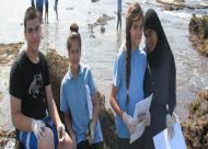  باحثون بيئيون من المدرسة الثانوية الشاملة في جولة تعليمية على شاطئ البحر